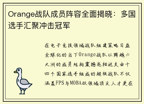 Orange战队成员阵容全面揭晓：多国选手汇聚冲击冠军