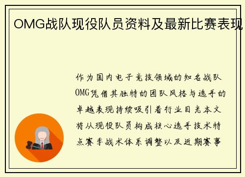 OMG战队现役队员资料及最新比赛表现
